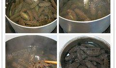 即食海参爆料怎么做的视频,轻松掌握美味海参烹饪技巧